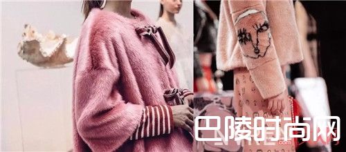 Shimps名字由来_想当个特别的美少女?那就从这只虾入手吧!