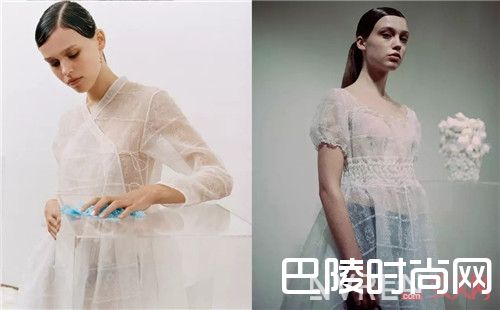 少女系列_想当个特别的美少女？那就从这只虾入手吧！