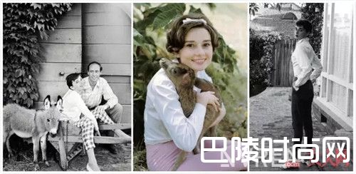 赫本式的衬衫_这些女神的经典风格单品 这个春天就这样穿！