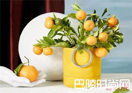 Simon Miller包包推荐_2017时尚圈潜力股包包 准备开始新一轮剁手了！