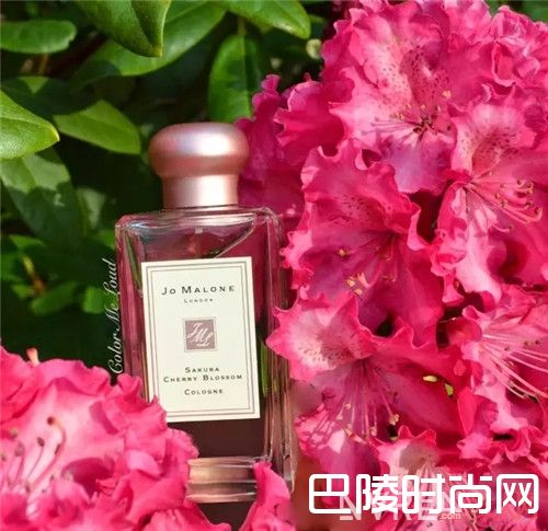 樱花香氛_14款樱花系美物 狠狠击中你的少女心！
