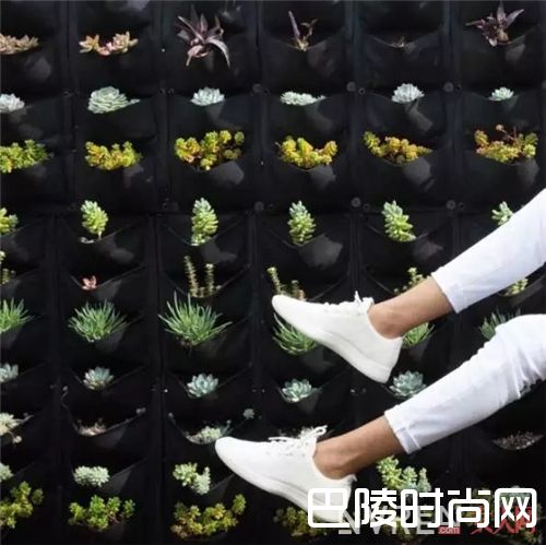 Allbirds_貌美又舒服的小众款鞋子 青春美少女必备！