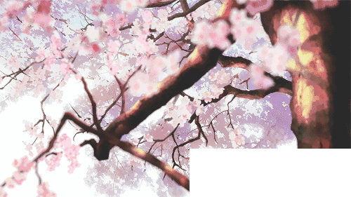 樱花季_这些樱花季才能买到的超美限定！再不剁手就晚了！