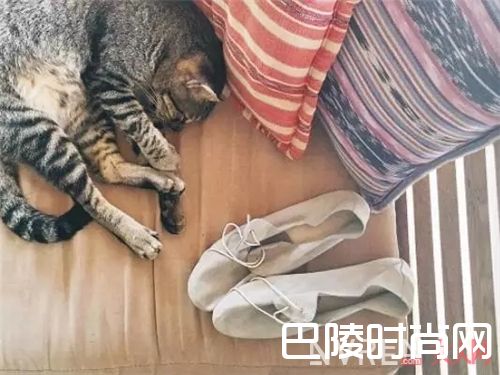 Hobes_貌美又舒服的小众款鞋子 青春美少女必备！