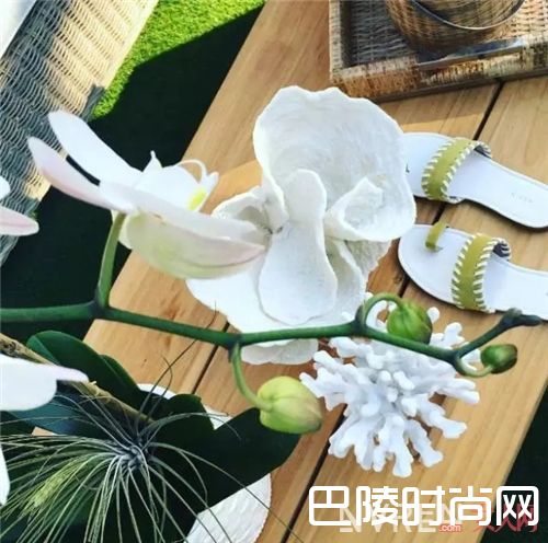 Aerin包包推荐_万万没想到这些品牌还出包 居然还长得这么好看