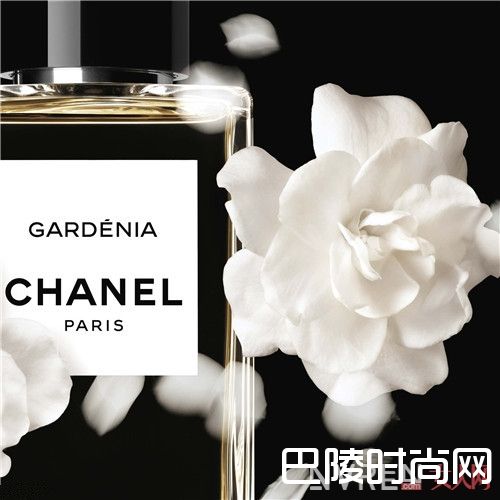 香奈儿栀子花香水简介_15款香奈儿迷人芬芳珍藏香水:“珍藏”属于你自己的风格