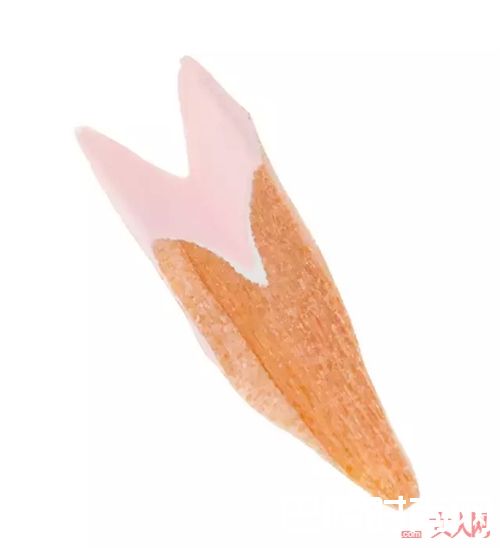 带花的玻璃杯和铅笔_这些带花的设计 让你的家充满春天的气息