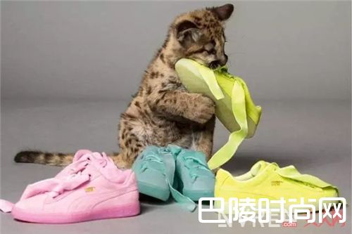 Puma鞋子推荐_这6双好看不贵又少女的仙女鞋 你入手了吗?