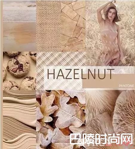 臻果褐_开春穿什么？2017年十大流行色让你美成一道风景线