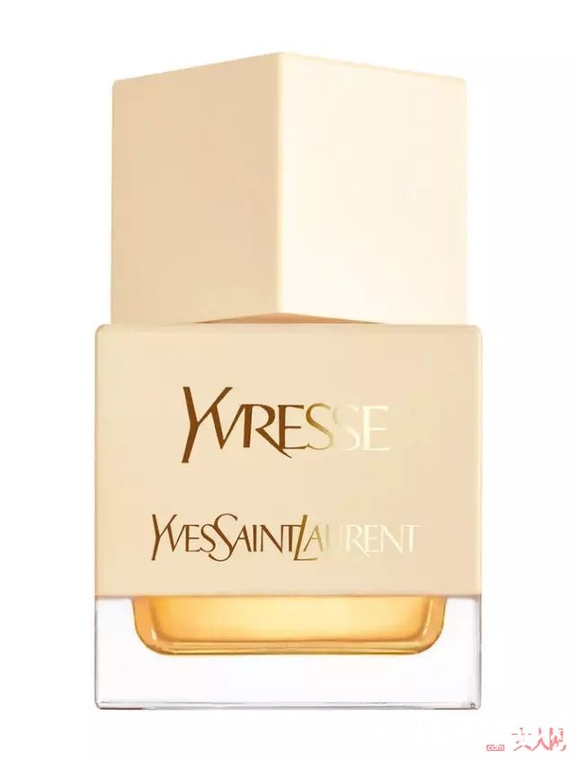 Yves Saint Laurent Champagne醉爱（香槟）_酒香醉人，那些令人微醺的香水指南