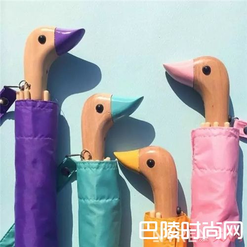 时髦雨伞品牌介绍_就算大雨让这座城市颠倒 我也要照样时髦
