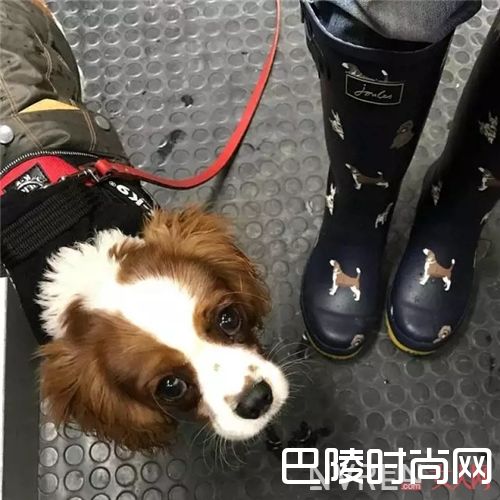 时髦雨靴品牌介绍_就算大雨让这座城市颠倒 我也要照样时髦