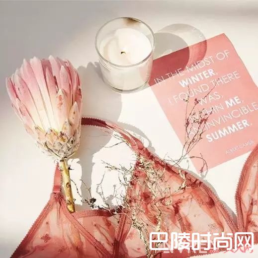 Eres超薄蕾丝内衣_夏天当然要从里到外都美，超高颜值小众内衣品牌推荐