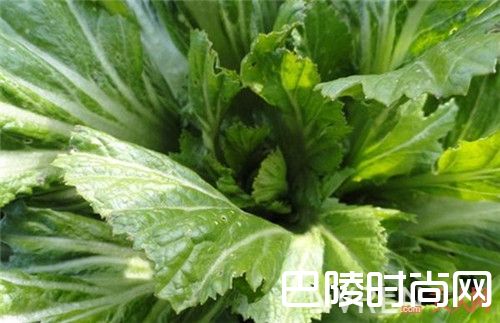 白菜加米醋瘦腿偏方_腿部肉多不满意?10个瘦腿技巧省钱又实用赶紧get吧