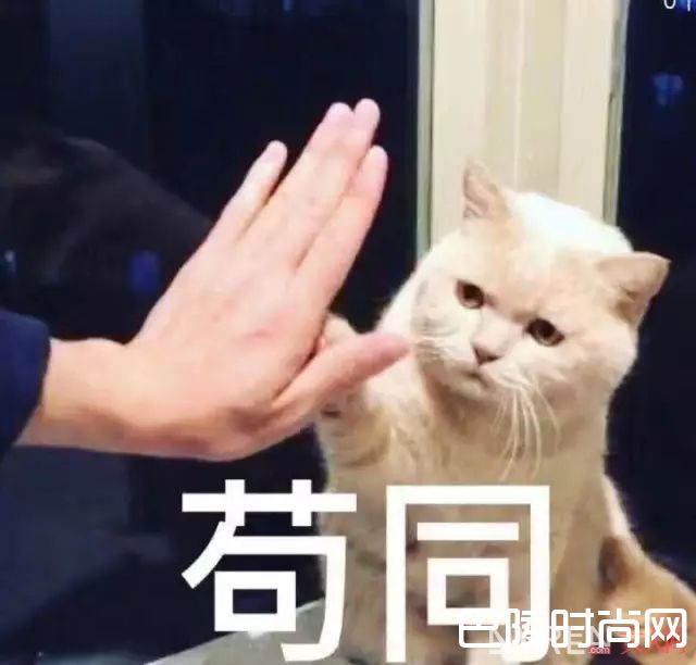 层叠晕染眼妆和清淡裸眼_跟着明星妆容变化，抓住5大美妆新趋势！