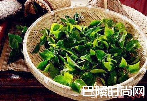 茶叶水洗脸介绍_7款纯天然护肤洗面奶 美容又健康不含毒素
