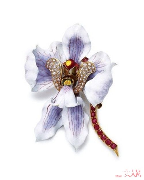 Tiffany Orchid 古董胸针简介_最适合春天的珠宝有哪些？春天到来选一款适合自己的珠宝吧