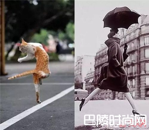 猫跟鞋怎么穿出优雅_时髦女孩最爱的鞋子有哪几款？推荐这几款舒适又潮流的鞋子