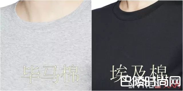 毕马棉和埃及棉是什么_最简单的T恤也有大学问 怎样才能把T恤穿得高级