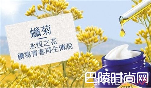 freezeframe眼霜简介_女人一生中值得拥有的10大眼霜,你用过了没?