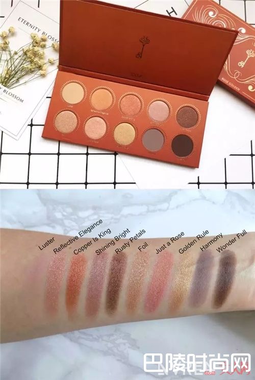  zoeva品牌介绍_网红第一步 就从这些网红美妆品牌开始吧