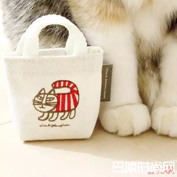 《InRed》赠品_50元就能把Gucci、Burberry带回家？去日本必买的5本时尚杂志