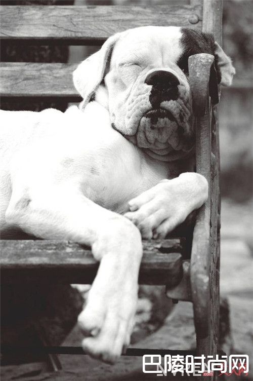 睡多或睡少会胖吗_天呐毫无征兆秤又破百了 那你可能是踏入误区了