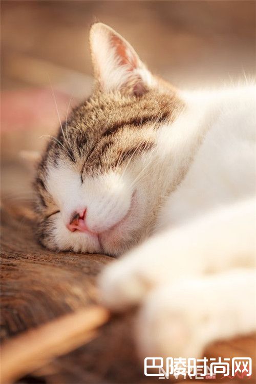 睡多或睡少会胖吗_天呐毫无征兆秤又破百了 那你可能是踏入误区了