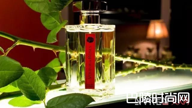 阿蒂仙小偷玫瑰香水_坏女人用什么香水？她的味道叫“危险”