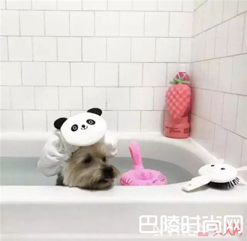 Forever21美妆介绍_它们曾经霸占你的衣柜 现在连你的美妆也不放过！