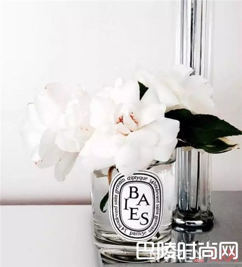 Diptyque香氛蜡烛_如何秒变文艺范儿？从这5款小众香氛蜡烛开始