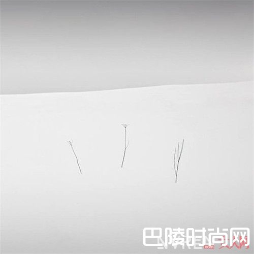 护肤营养减少缓解肌肤_我也很难过 为什么敷面膜会有刺痛感