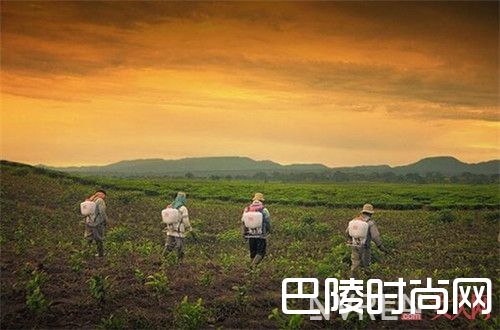 做好保湿护理肌肤_我也很难过 为什么敷面膜会有刺痛感