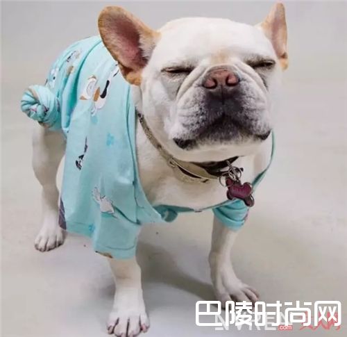  P.J.salvage 睡衣介绍_在家也要美美哒 高颜值平价睡衣我只服这4个品牌