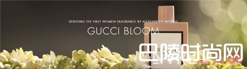 Gucci香水介绍_连New Gucci都出香水了 这些大牌香水哪家强呢？