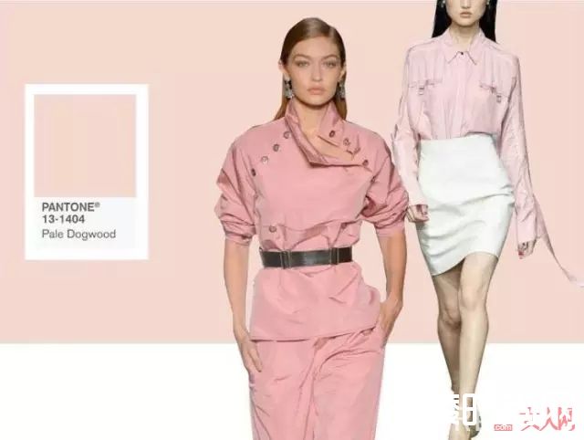 淡山茱萸粉指甲油推荐_做个精致女人 指尖也别忘了用流行色装点