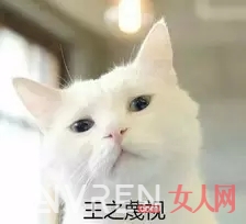 腿粗穿衣服要注意什么_这些小技巧不掌握,就算你是杨幂、杨颖都没用!