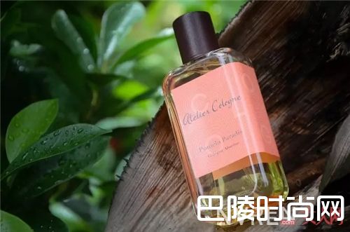 欧珑西柚天堂香水_撞香是比撞衫更可怕 不如试试这几款超有爱的香水