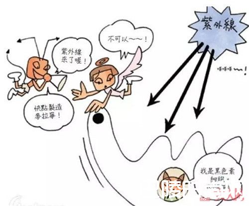 FANCL 亮白素简介_7大人气美白产品推荐:一白遮百丑也需要哪些美白产品?