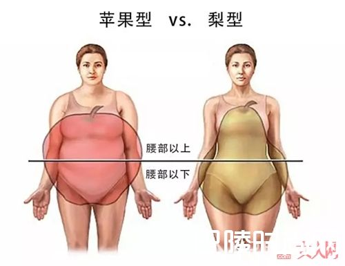 哪种身型最难藏肉?_小肚子没减下来怎么办?穿对了衣服照样显瘦!