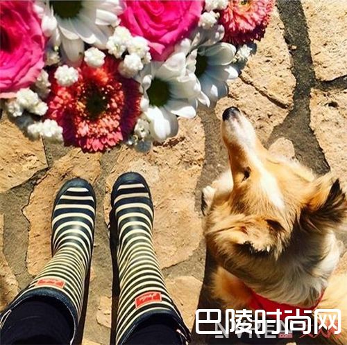 Joules品牌介绍_真正的时髦精 是在雨天的时候也可以那么潮！