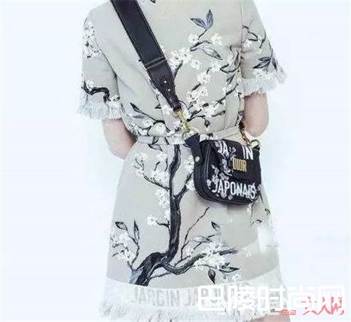 DIOR2018新品包包_LV携手一众大品牌上新2018 带你提前种种草！