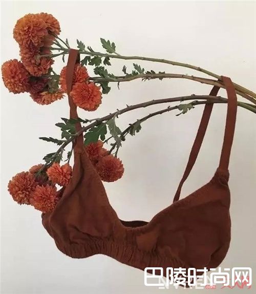Pansy Co品牌介绍_别让那些内衣款式束缚你的身体 舒服才是最重要!