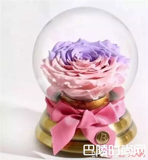 邱莹莹用什么平价好物？_欢乐五美在用的这些平价好物 我也用得起！