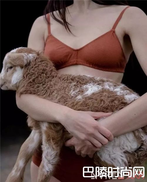 Pansy Co品牌介绍_别让那些内衣款式束缚你的身体 舒服才是最重要!