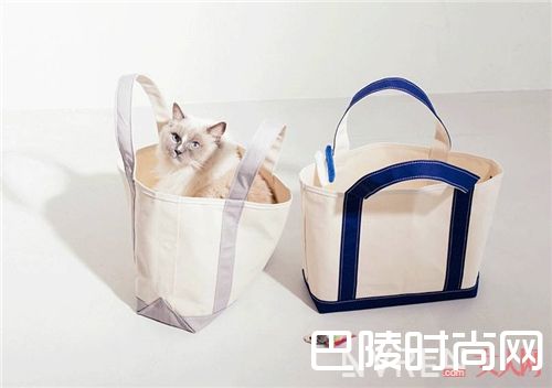 优雅极简帆布包如何搭配?_结实耐用又能装、价格亲民又好看 这个包太赞了!