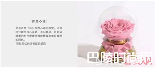 邱莹莹用什么平价好物？_欢乐五美在用的这些平价好物 我也用得起！