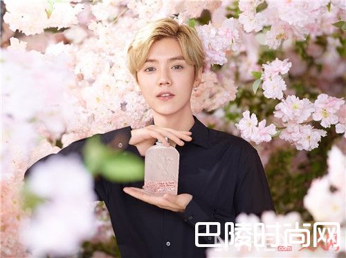 欧舒丹甜蜜樱花系列产品简介_6月美妆产品精明购:各种品牌产品清单来了!