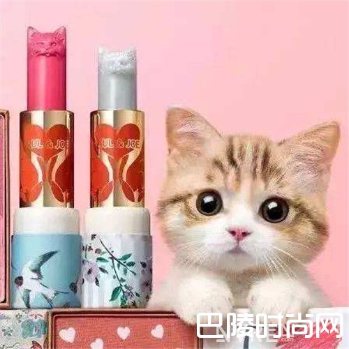 Paul& Joe 亲亲猫咪变色唇膏_2017人气口红TOP10 哪一支在你的包里呢