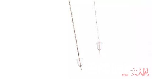 日本 kaza 长款椭圆挂坠耳环_日本kaza有哪些单品能让你精致又时髦?